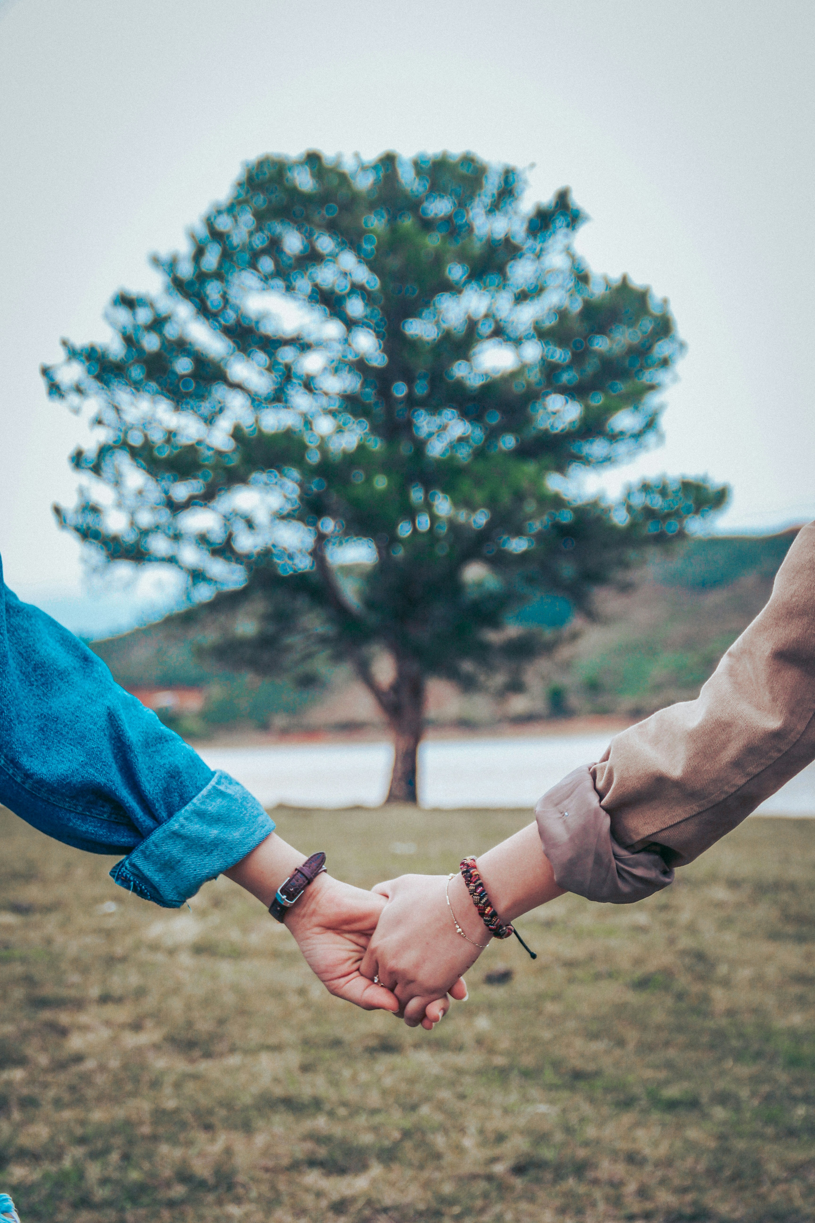 d-ng-h-u-CCjgYjUudxE-unsplash green natural therapy room